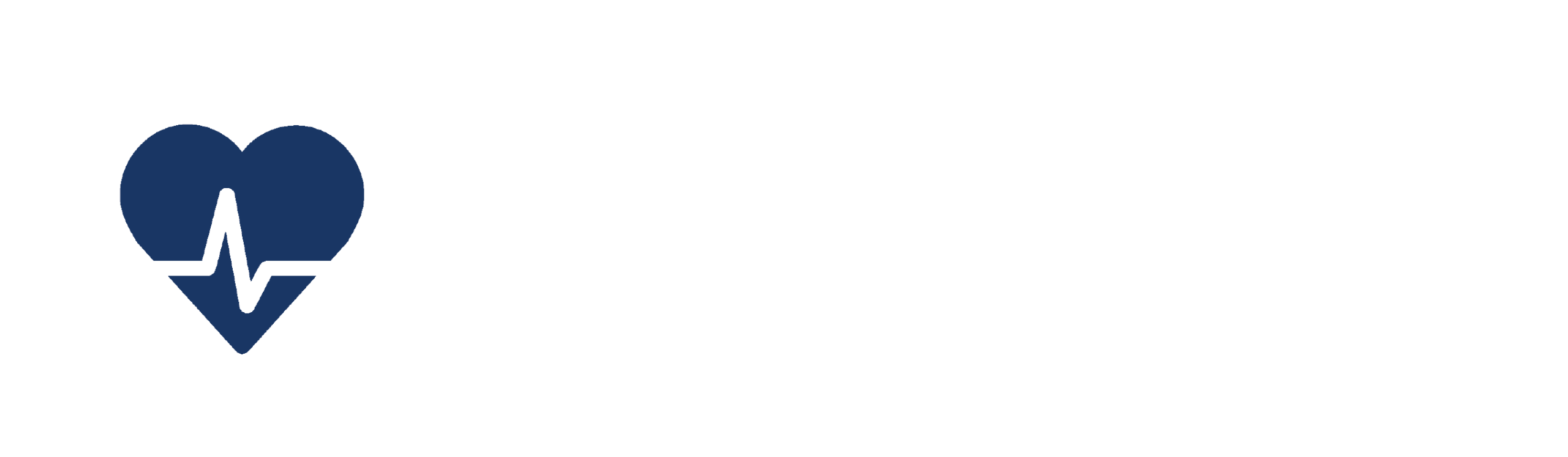 Florida Chamber Healthcare Partnership Logo
